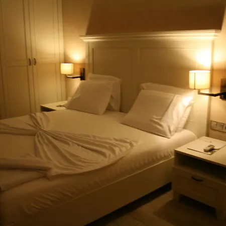 Temenos Luxury & 호텔 4*