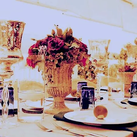 Temenos Luxury & 4* Ortakent