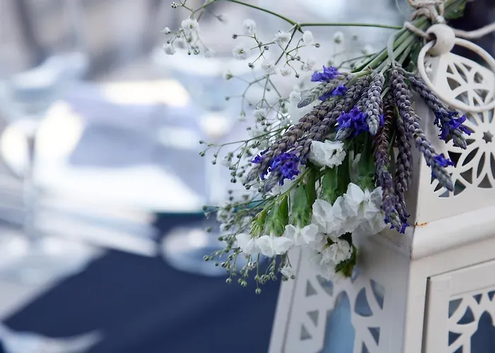 Temenos Luxury & ホテル 4*