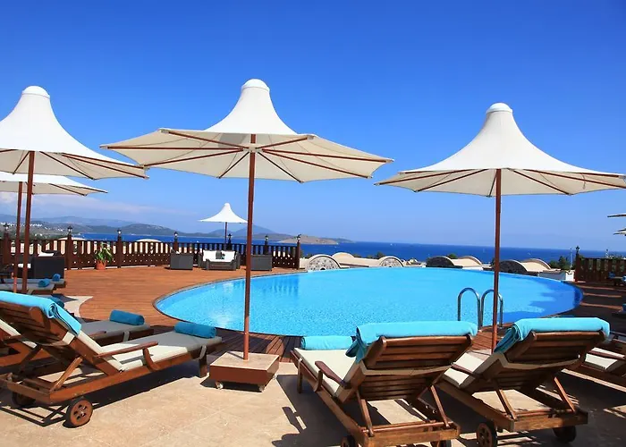 Temenos Luxury & ホテル 4*